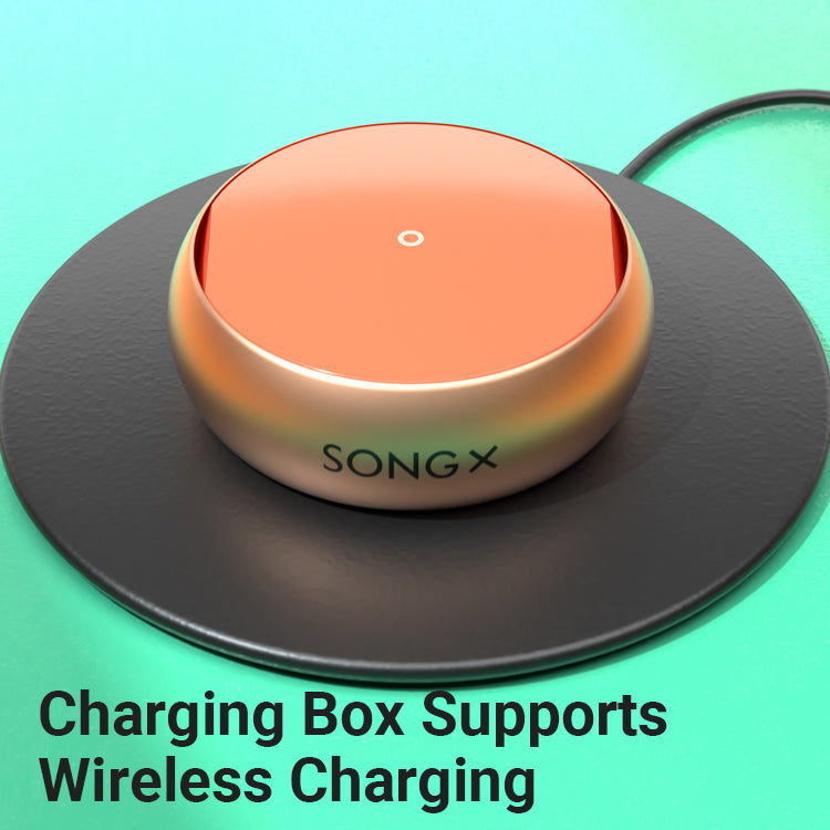SONGX 06